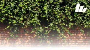 material dinding modern